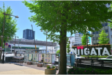 東大通り